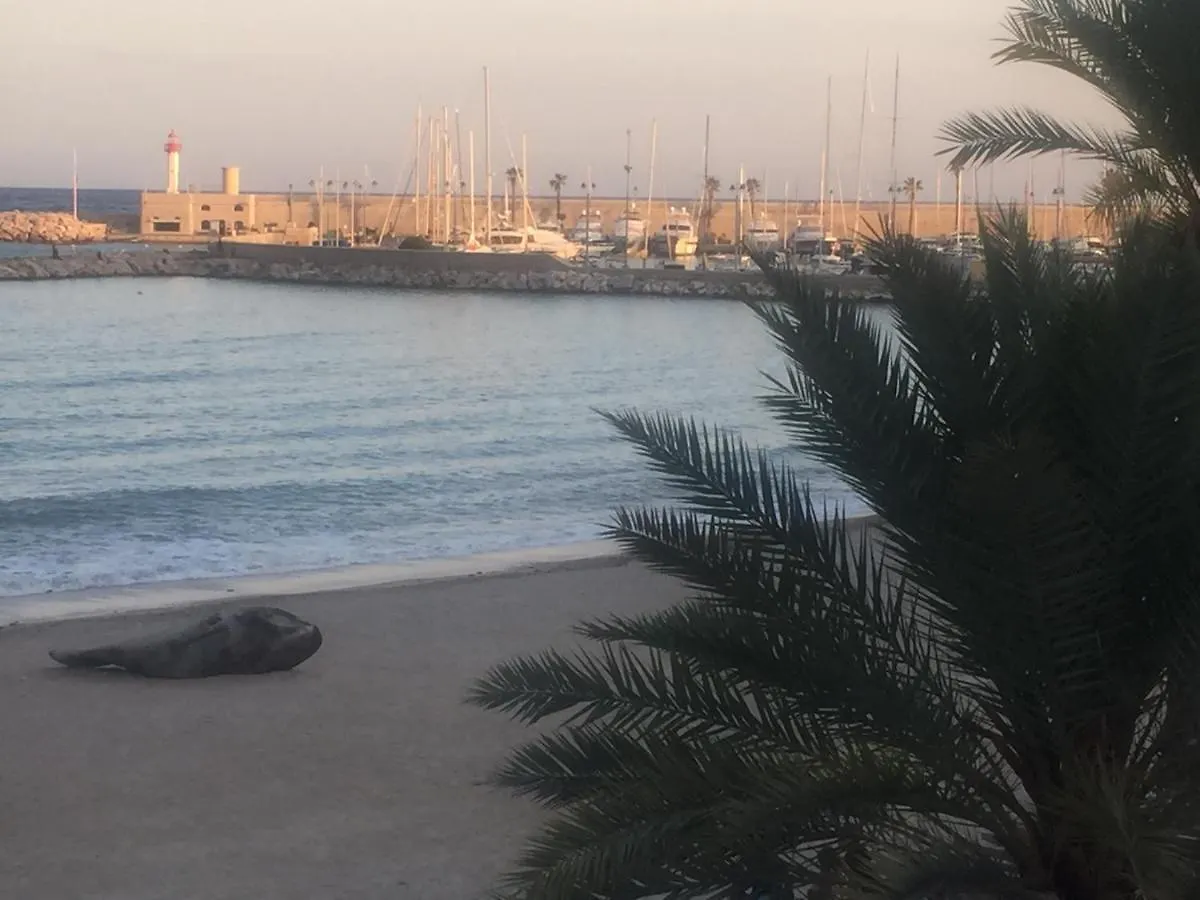 Loft Prestigioso Nel Centro Di Sanremo Apartment